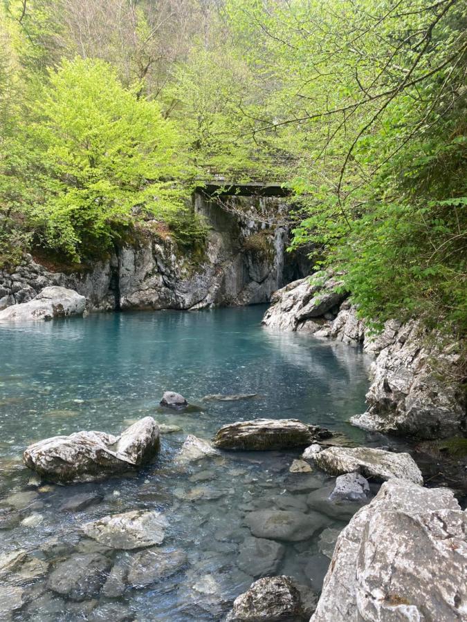 Appartement Rez-De-Chaussee, Cosy T3 4 A 6 Pers Avec Piscines Interieure & Exterieure A Samoens En Haute-Savoie المظهر الخارجي الصورة