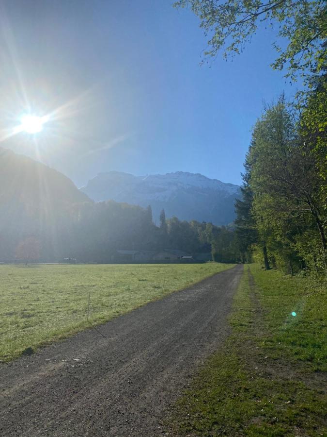 Appartement Rez-De-Chaussee, Cosy T3 4 A 6 Pers Avec Piscines Interieure & Exterieure A Samoens En Haute-Savoie المظهر الخارجي الصورة